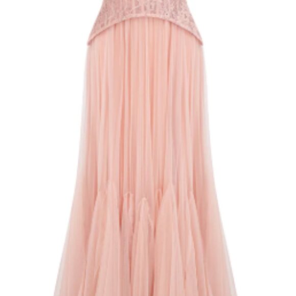 Ulrique Pink Lace Corset Tulle Maxi Dress - Size Small - Picture 2 of 12